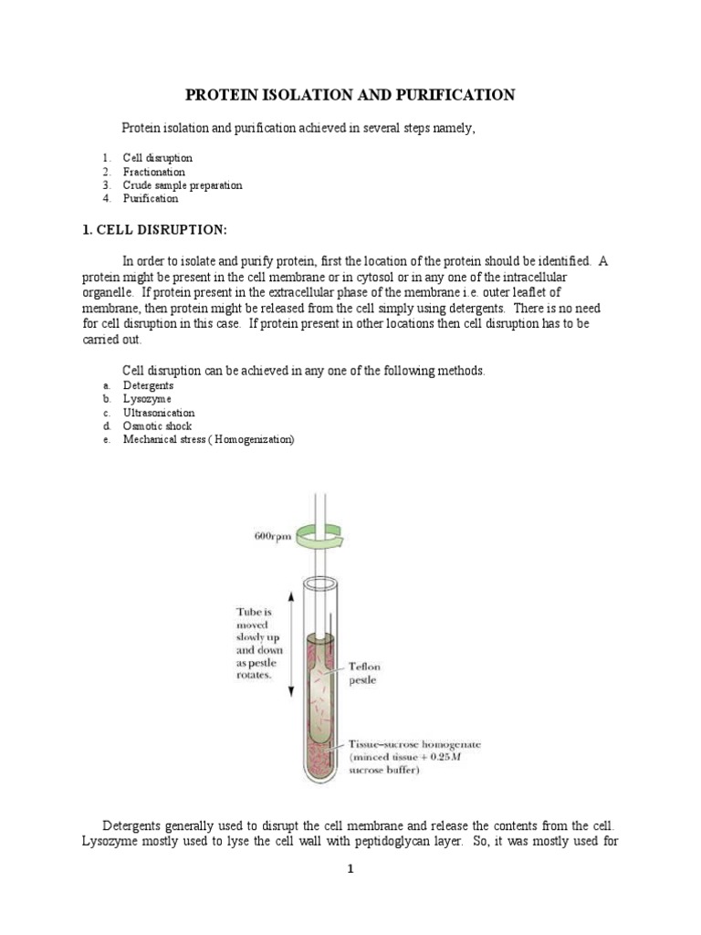 Protein Isolation and Purification Methods | PDF | Protein Purification ...