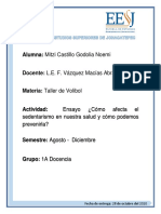 Ensayo Cómo Afecta El Sedentarismo en Nuestra Salud y Cómo Podemos Prevenirla