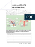 LKPD Sistem Reproduksi Manusia