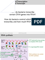 Bacterial Transcription Genes and Transcripts