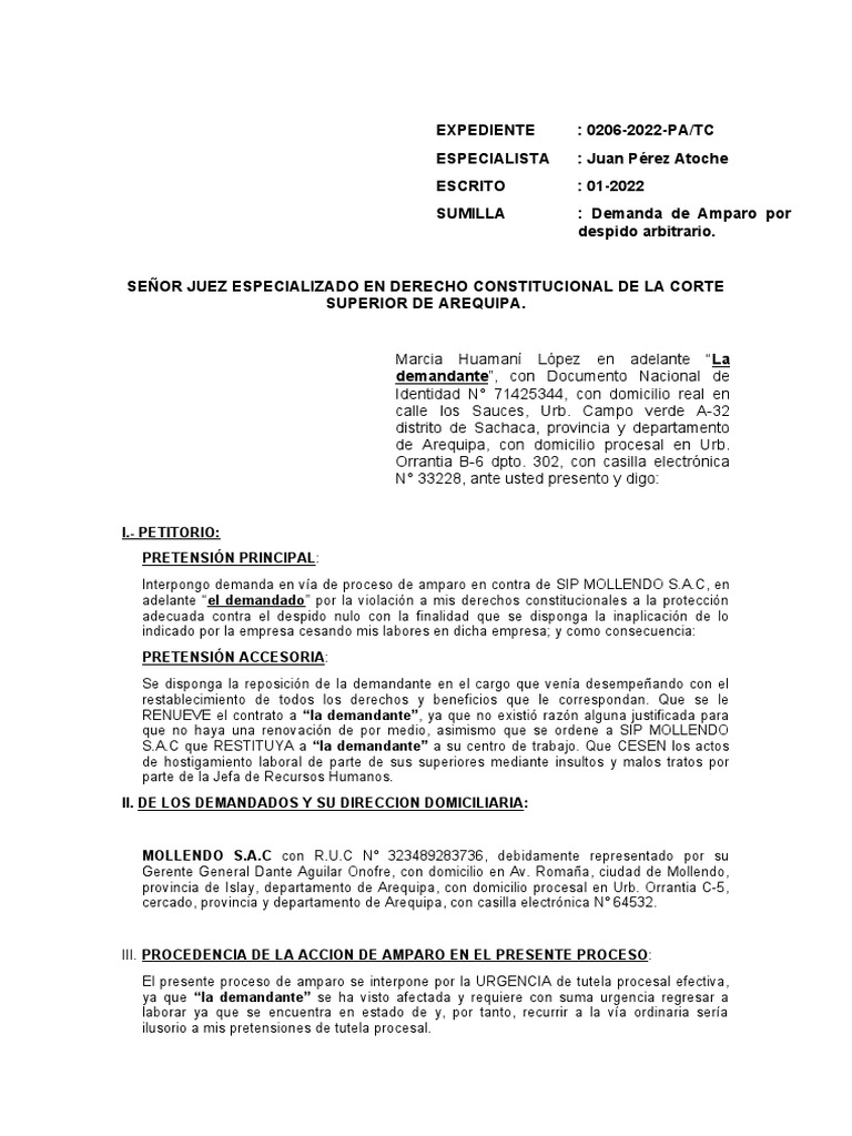 Demanda de Amparo Laboral | PDF | Crimen y violencia | Ley Pública