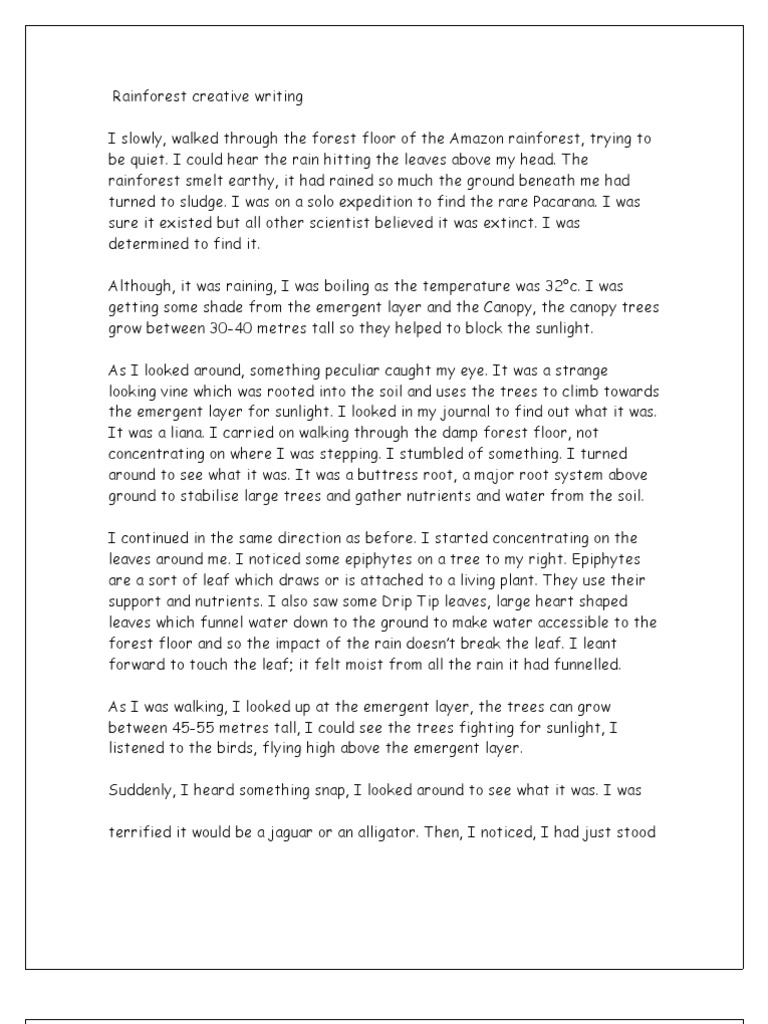 Importance of forest essay in english picture