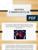 Sistema Cardiovascular