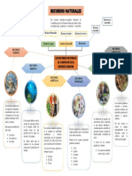 Recursos Naturales-Mapa Mental