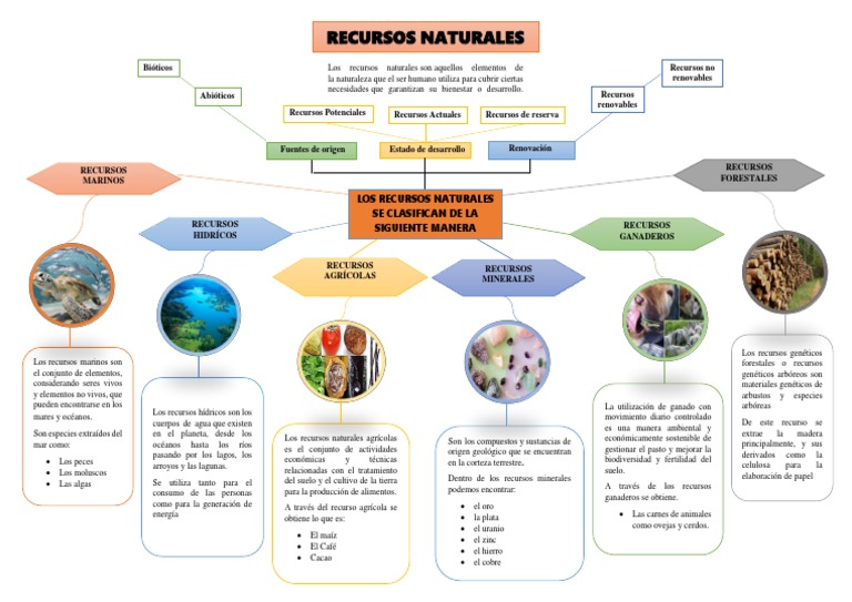 Recursos Naturales-Mapa Mental | PDF | Agricultura | Mar