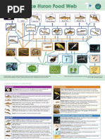 Lake Huron Food Web