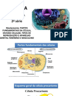 Partes fundamentais da célula, divisão celular e tipos de reprodução