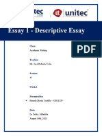 Essay 1 - Descriptive Essay