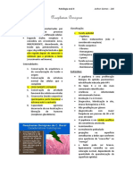 Neoplasias benignas da cavidade oral: papiloma, fibroma e hemangioma