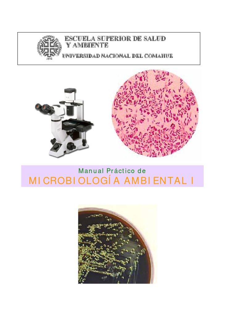 Ross Histologia Texto y Atlas 7a Ed_booksmedicos.org, image size:768x1024