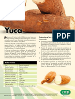 Ficha Técnia - Yuca