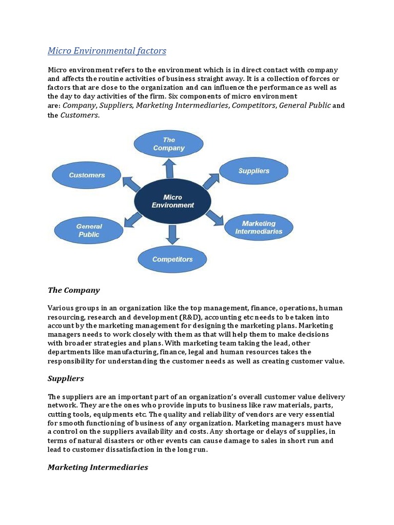 Understanding Micro and Macro Environments | PDF | Marketing | Economies