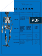 Skeletal System: Bone Classification Features Functions Examples