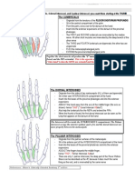 Anatomy - UPPER LIMB - 3 Short Muscles of The Hand