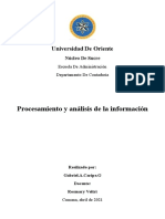 Ensayo Procesamiento y Analisis de La Informacion