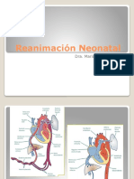 Reanimación Neonatal: Ventilación y Compresiones