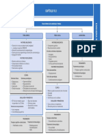 Esquema Fobias