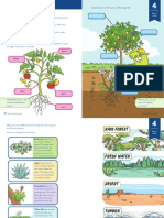 Parts of A Plant: Tinkeractive 1St Grade Science Workbook Tinkeractive 1St Grade Science Workbook