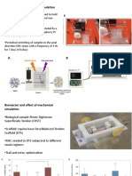 Bioreactor & Mechanical Stimulation