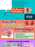 Sindrome Nefrotico. Clinica Medica II - Nefrologia