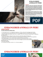 Endangered Animals in Peru