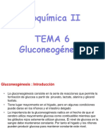 Tema 6 Gluconeogénesis