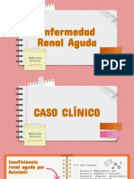 Copia de Enfermedad Renal Aguda