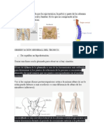 Valoracion Funcional Del Tronco