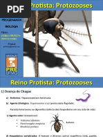 Aula Protozooses