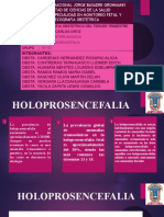 Grupo #02 Holoprosencefalia y Megacisterna Magna