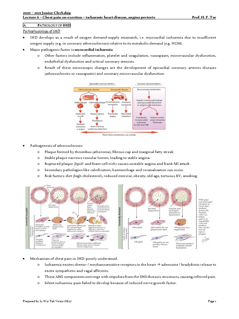Chest Pain and Ischaemic Heart Disease | PDF | Coronary Artery Disease ...
