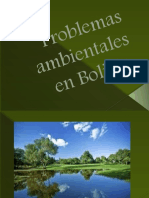 Problemas Ambientales en Bolivia