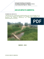 Informe de Estudio de Impacto Ambiental Pto. Consuelo