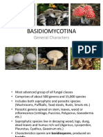Characteristics of Basidiomycotina