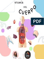 Anatomía Del Cuerpo Humano - Valeriabarajasmed