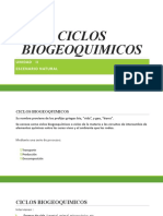 Ciclos Biogeoquimicos