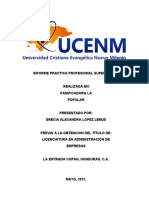 Informe de Practica Profesional Grecia Lopez