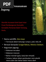 Download teknologi Penanaman Jagung by Sharifah Azzuwani SN57257227 doc pdf