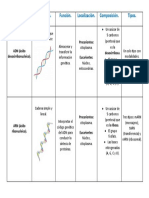 Diferencias Entre ADN y ARN