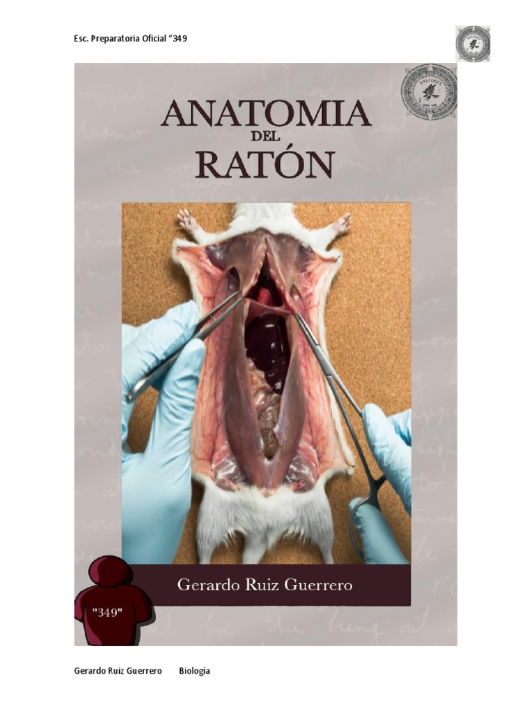 Anatomía del Ratón en Laboratorio | PDF