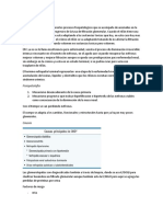 Clase 26 Enfermedad Renal Crónica