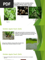 Cropprot1 - Botanical Control Approach of Golden Apple Snail