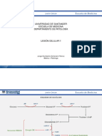 Lesión Celular 1 - Clase PDF