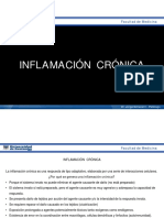 Inflamación Crónica 1 - Clase
