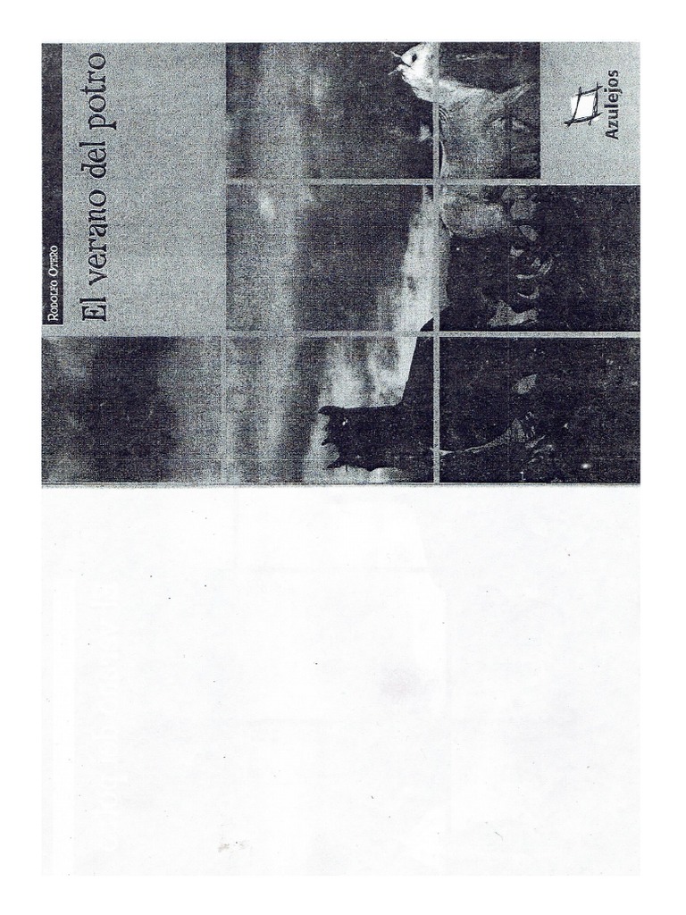 El Verano Del Potro PDF