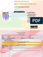 Estructura Guia6