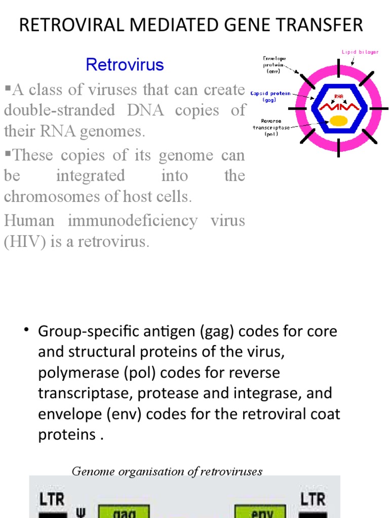 Retroviral Mediated Gene Transfer: Retrovirus | PDF