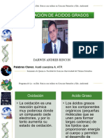 Beta Oxidacion Acidos Grasos