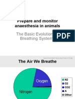 Prepare and Monitor Anaesthesia in Animals: The Basic Evolution of Breathing Systems