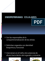 Endomembranas